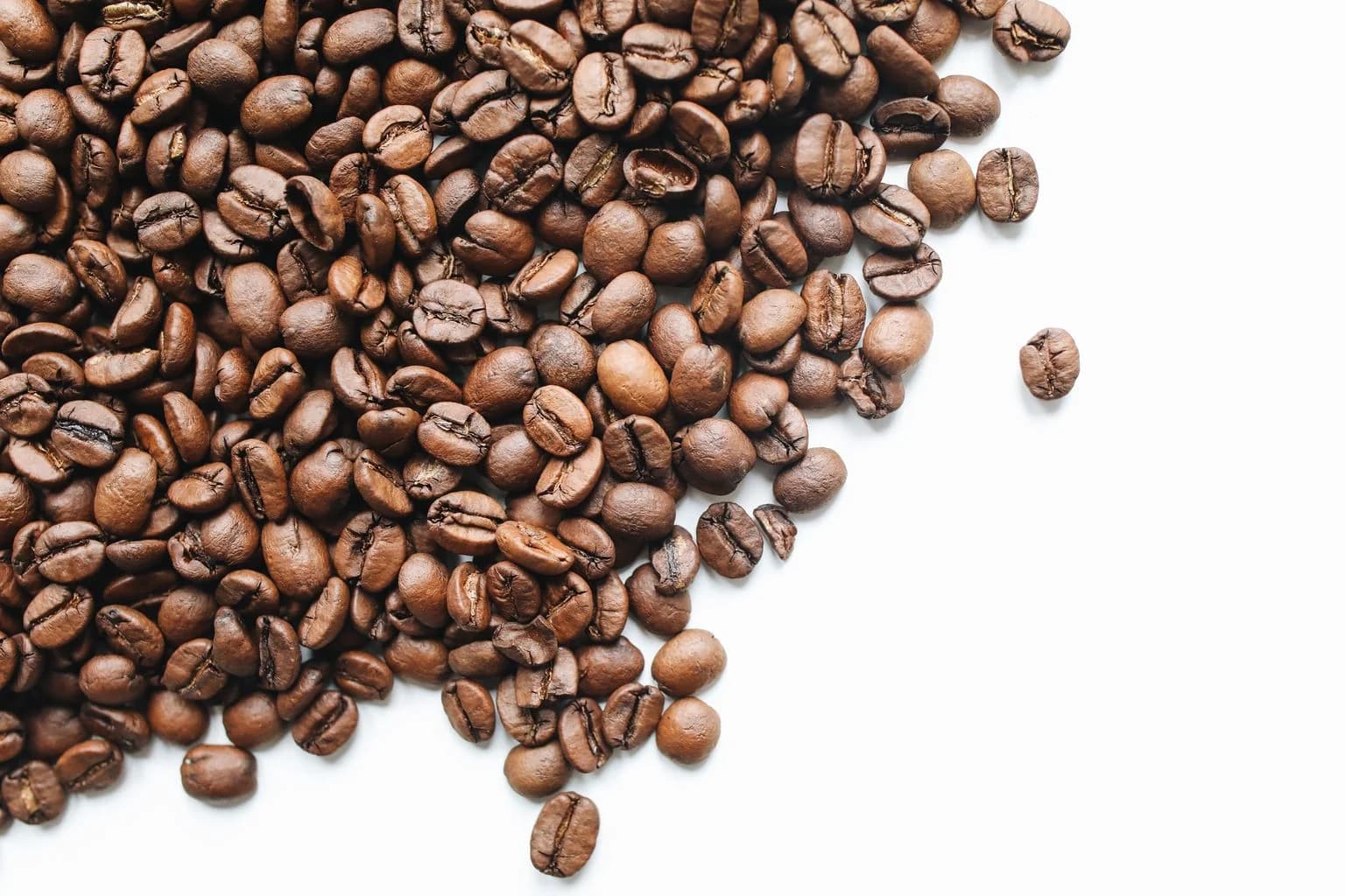 Siphon Brewer coffee brewing method paired with Light Roast roast beans