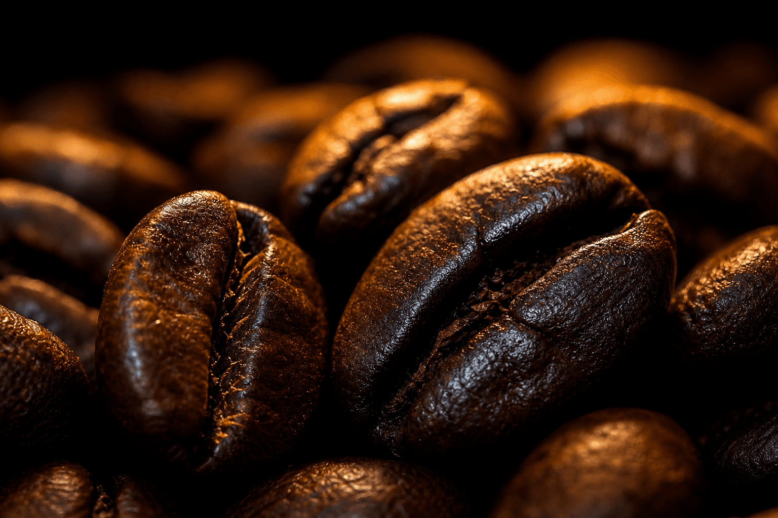 Elida Estate Geisha Siphon coffee recipe