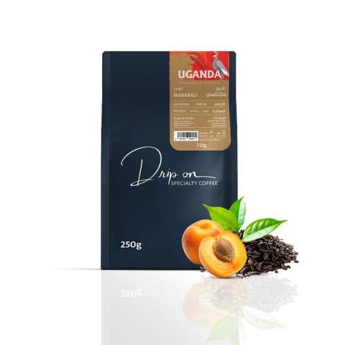 Uganda Mananasi Specialty Coffee Beans V60 recipe
